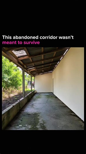 What you’re seeing is a full timelapse transformation, an abandoned, unused space slowly rebuilt into a clean, functional waiting room. No flashy tricks, just planning, patience, and smart design turning neglect into purpose. Spaces like this exist everywhere, quietly waiting for someone to see their potential and bring them back to life. Follow for more daily shocks from the frontier of invention ⚙️ @unreal_error #transformation #timelapse #architecture #design #beforeafter