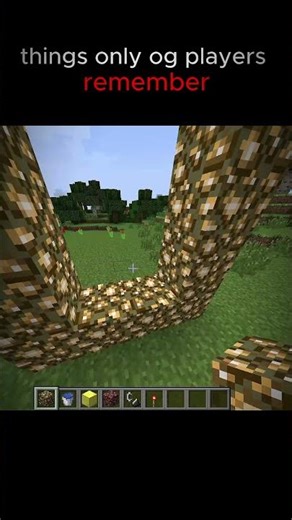 Old Minecraft memories #MinecraftNostalgia #ClassicMinecraft #OldMinecraft