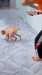 82K views · 1.7K reactions | Monkey Kaka looks sad, craving mom’s warmth and milk #Kakavideo | Kaka Video | Facebook