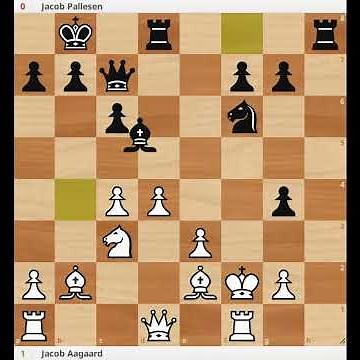 Pallesen vs Aagaard 2002 #chess #chessgames
