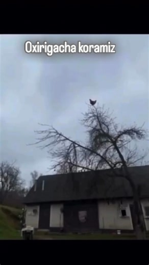 乇ᐯ|ㄥ | ˢʰᵃᵛᵏᵃᵗᵇᵉᵏ on Instagram: "Obunachim boling😅 this educational Reel highlights an innovative green energy project in Japan. The video features footage of busy urban sidewalks in cities like Tokyo and Kyoto, with overlaid animations showing embedded piezoelectric materials in the pavement. As pedestrians walk, run, or jump, the surface slightly deforms, converting kinetic energy from footsteps into electricity via pressure on special crystals. Generated power lights nearby street lamps, pow