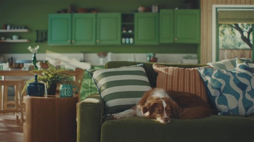 Serve them Paw-Tappingly Proper Food 🐶🐈 | Lily's Kitchen