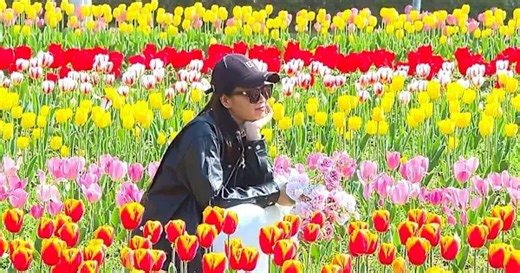 Spring flower blooms draw crowds to China's countryside