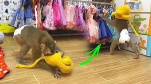 99K views · 4.1K reactions | Comedian Judee Put On A Kitty Hat Herself & Run BIindIy | The Judy Family | Facebook