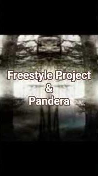 Freestyle Project Pandera #bboy #breakdance #freestylemusic #freestyle #electronicmusic