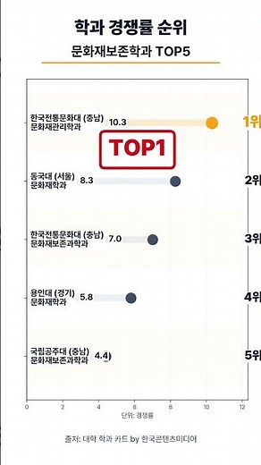 학과 경쟁률 순위 - 문화재보존학과 대학교 TOP5