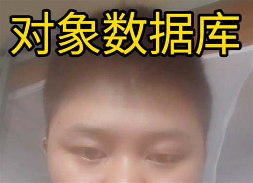 对象数据库介绍，国产数据库