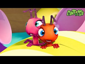 Eggheads🥚| Funny Cartoons For All The Family! | Funny Videos for kids | ANTIKS 🐜🌿