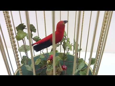 Vintage singing bird cage music box automaton
