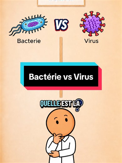 Bactérie vs Virus : différences essentielles