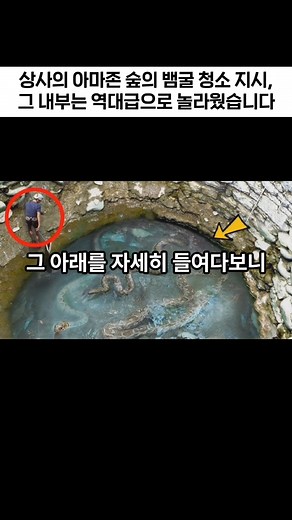 아마존 숲의 신비한 뱀굴 청소 이야기