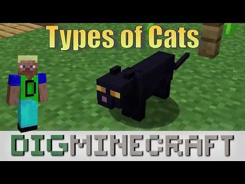 Types of Cats in Minecraft (Village & Pillage Update)