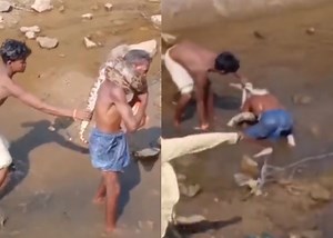 Viral Video: Drunk man strangled by massive PYTHON
