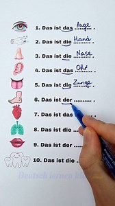 Wichtige Körperteile im Deutschen – strukturierte Übersicht mit Artikeln, ideal für Anfänger. #deutschkurs #deutsch #germanlanguage #deutschesprache #german #deutschlernen | Deutsch lernen klar