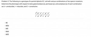 Problem 2: The following is a genotype of a partial diploid of ... | Filo