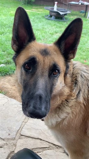 Anna Baker on TikTok