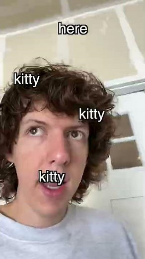 CATS HATE COMB SOUNDS