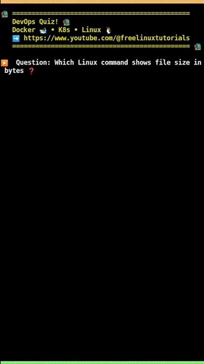 🐧 Linux command to view file size in bytes