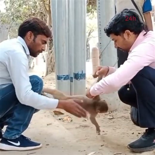 417K views · 6.5K reactions | Million tear drops, Poor monkey in trouble under rescue | Diogoaub | Facebook