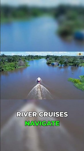 Earth's Most Dangerous & Beautiful Place in 60 Seconds #amazonrainforest #adventure #shorts