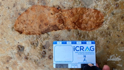 In a 'race against time,' archaeologists uncovered Roman-era footprints from a Scottish beach before the tide washed them away
