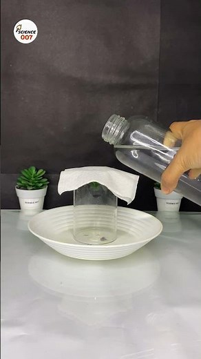 children's science experiment | cohesion and adhesion #physics #experiment