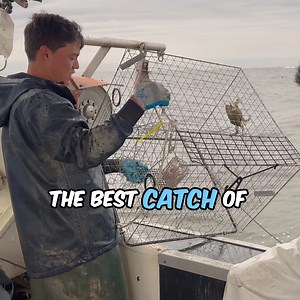 How to catch Maryland Blue Crabs. What bait works the best? #BlueCrabs #ChesapeakeCrabs #SteamedCrabs #MarylandCrabs #Crabs #Maryland #ChesapeakeBay #Fishing #bodkinpointseafood #fvsoutherngirl #LukeMcFadden | FV Southern Girl Bodkin Point Seafood