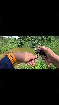 SNAKEHEAD UNDERWATER EXPLOSION #faizulzahrinzakaria #fishing