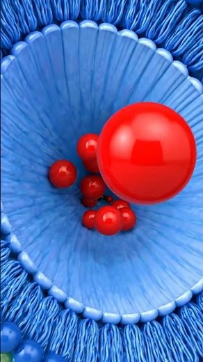 A liposome nanoparticle #nanoscience #research#nanoscale #explanation#physics #chemistry
