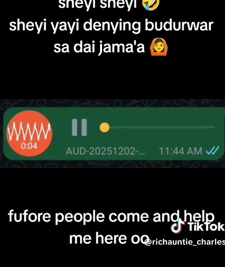 Sheyi Discusses Business and Cultural Observations