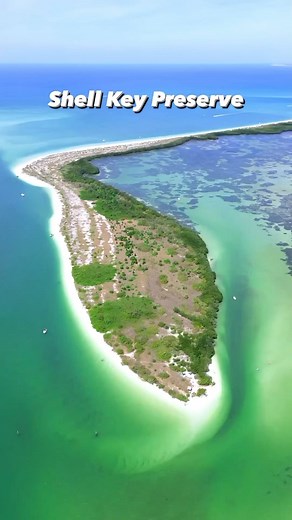 Shell Key Preserve is a must see that few people take the time to experience. It is a 1,828-acre archipelago at the mouth of Tampa Bay off Florida’s Gulf Coast that many birds and other forms of wildlife call home. To get to the island you must arrive by boat, however, you will be limited to the southern point of the island. The rest of the preserve is reserved for wildlife! Who would you take here? 🏝️👀✌🏼 📷: @baelotravels 📍Shell Key Preserve, Tierra Verde, Tampa Bay Tag #mustseeflorida to s