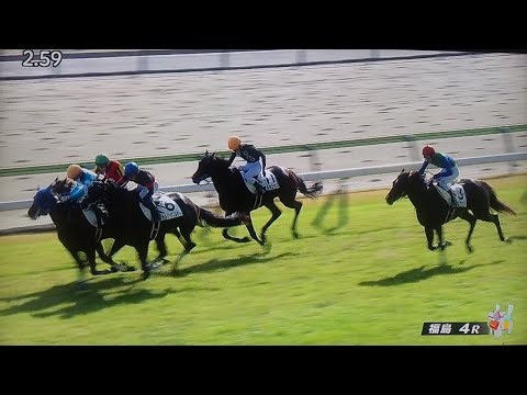 福島4レース障害未勝利 パープルアドミラル