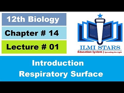 Introduction of Respiration, Characteristics of Respiratory Surface, Class 12 Biology Chapter 14