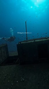 1.7K views · 19 reactions | Who else loves wrecks? ‍♀️凉 For centuries, countless ships have found their resting place in the vast depths of the ocean, becoming time capsules of history and an unexpected home to a variety of marine life. Wreck diving gives you the unique opportunity to step back in time and explore these submerged pieces of history.  @mmireiandreu | World Ocean Day | Facebook
