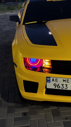 Bumblebee на TikTok
