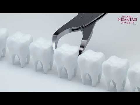 Silicate Material Innovations: Safer Radiation Barriers and Long-Lasting Dental Options