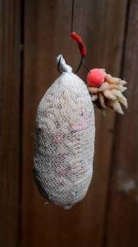 Do THIS To Maggots For MORE Carp! 👀🎣 #carpfishing #fishing #bait