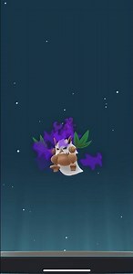 [Pokemon GO] Full Evolution Line of Shadow Seedot into Shiftry #sajaboys #shiftry #tiktokeffects