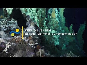 Keep On Venting - Ep. 2 - What is Chemosynthesis?