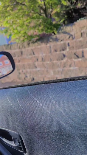 Scenic Drive: Captivating Views from Inside a Car