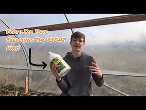 5 Tips You NEED To Know When Fertilizing Seedlings!