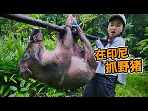 印尼抓野猪，印尼人仅靠一根竿一捆绳，竟抓100斤重山猪！| 印尼 | | 打猎 | 野猪 | 海岛 | 赶海 |