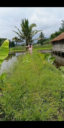 ada dudaaaa | Ubim Cubim