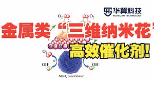【电化学与电催化】金属类“三维纳米花”：高效电催化剂！| 华算科技