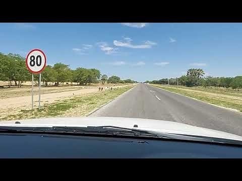 Namibia Road Trips: Oshakati - Outapi