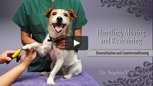 Desensitization and Counterconditioning: Teaching Dogs to Willingly Accept Medical Procedures