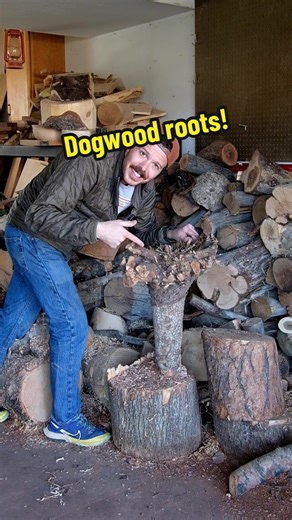 I had a rootin’ tootin’ good time making this, hope you enjoy it too! #woodworking #wood #trees #roots