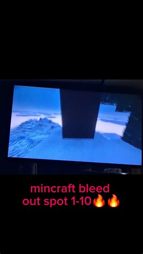 🗣minecraft bleed out spot rate 1-10🔥