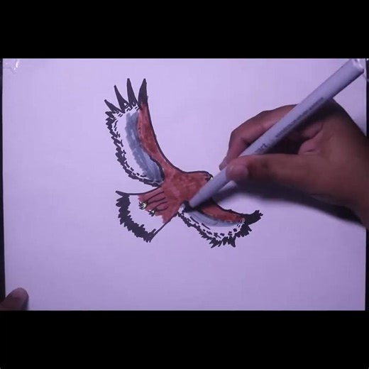 Flying Golden Eagle Drawing from a Kid #drawingforkids #realisticdrawing