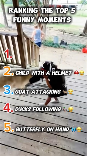 Ranking Best Funny Moments